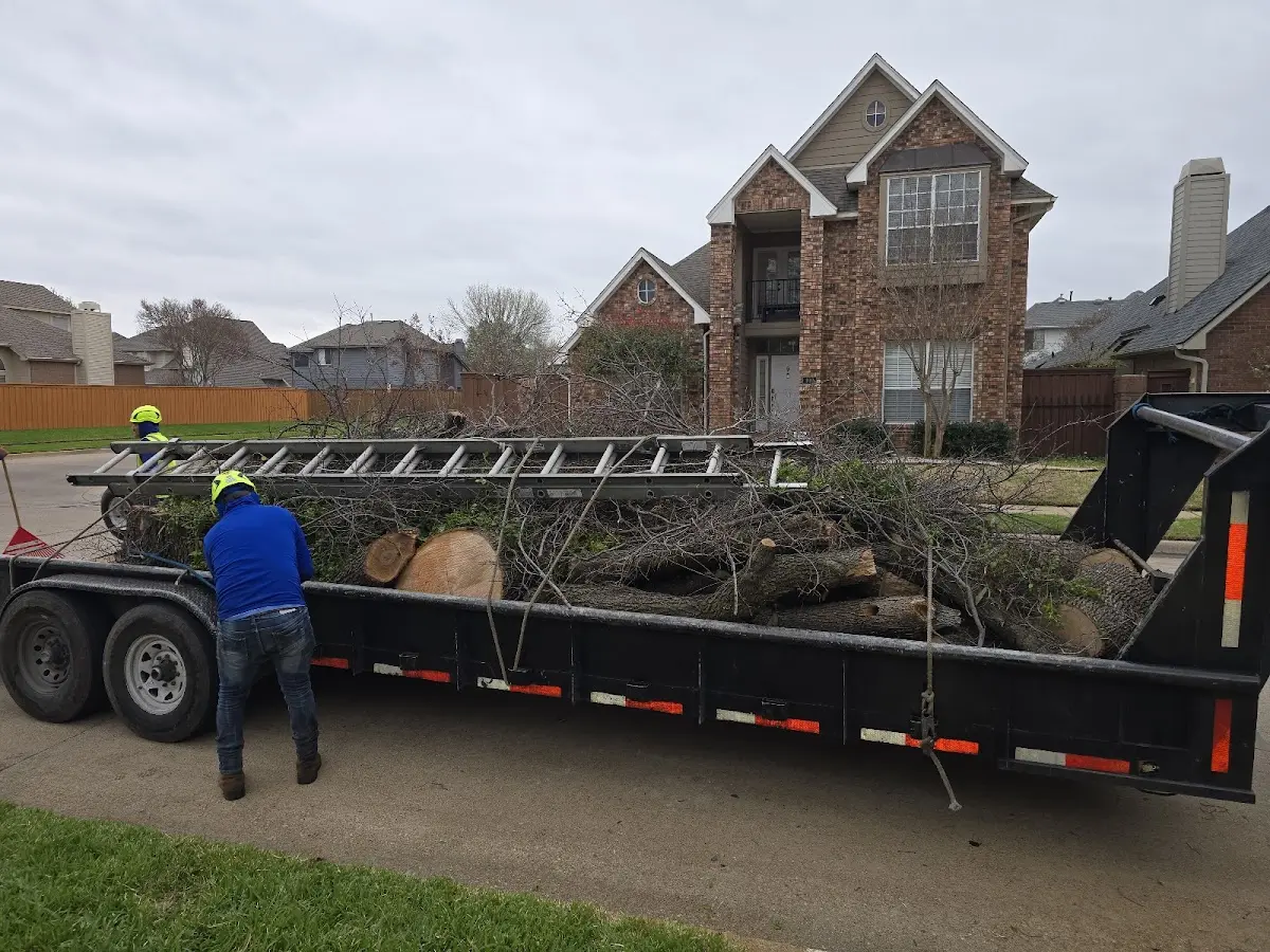 Expert Tree Removal with proper safety equipment in Sallisaw